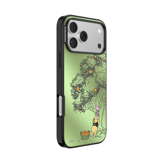 100 Acre Wood — iPhone 17 Pro Max MagSafe Case - US 30858
