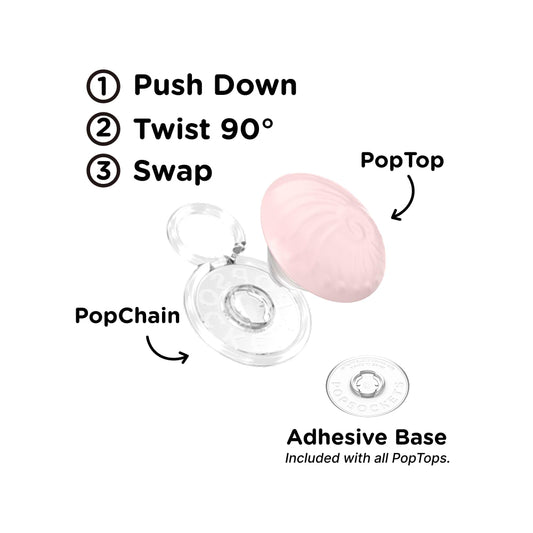 PopOut Fossil — PopTop - US 56873