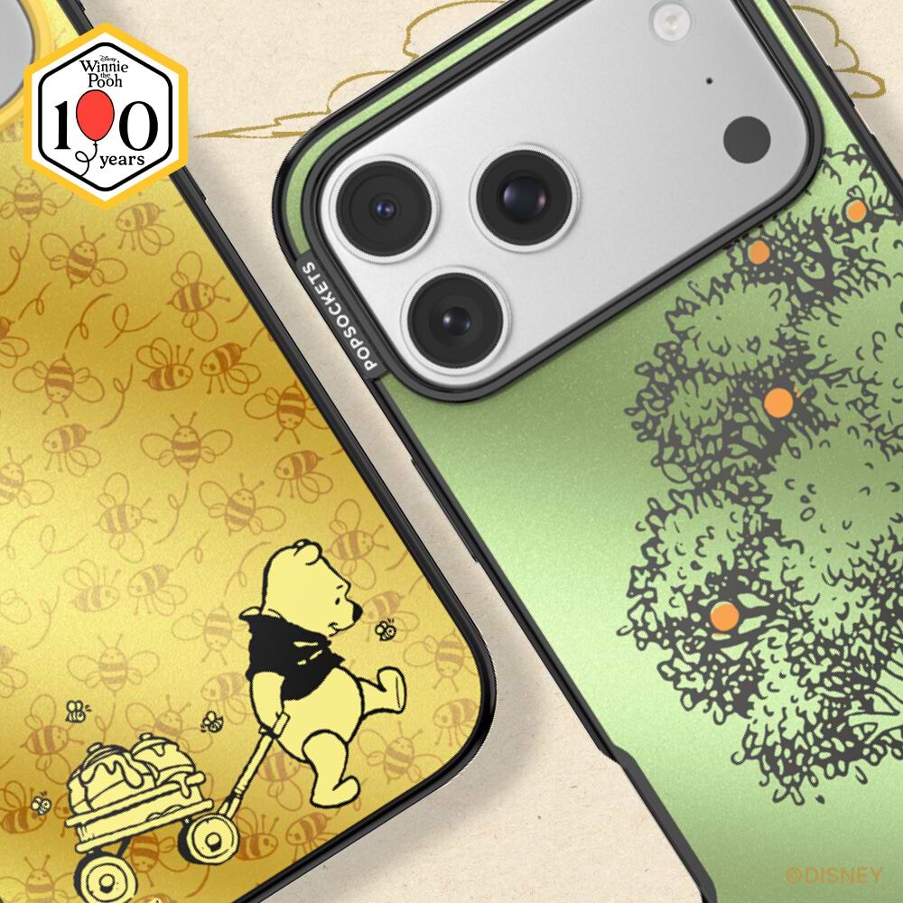 100 Acre Wood — iPhone 17 Pro Max MagSafe Case - US 30858