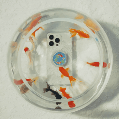 Koi Pond — MagSafe PopGrip - US 38791