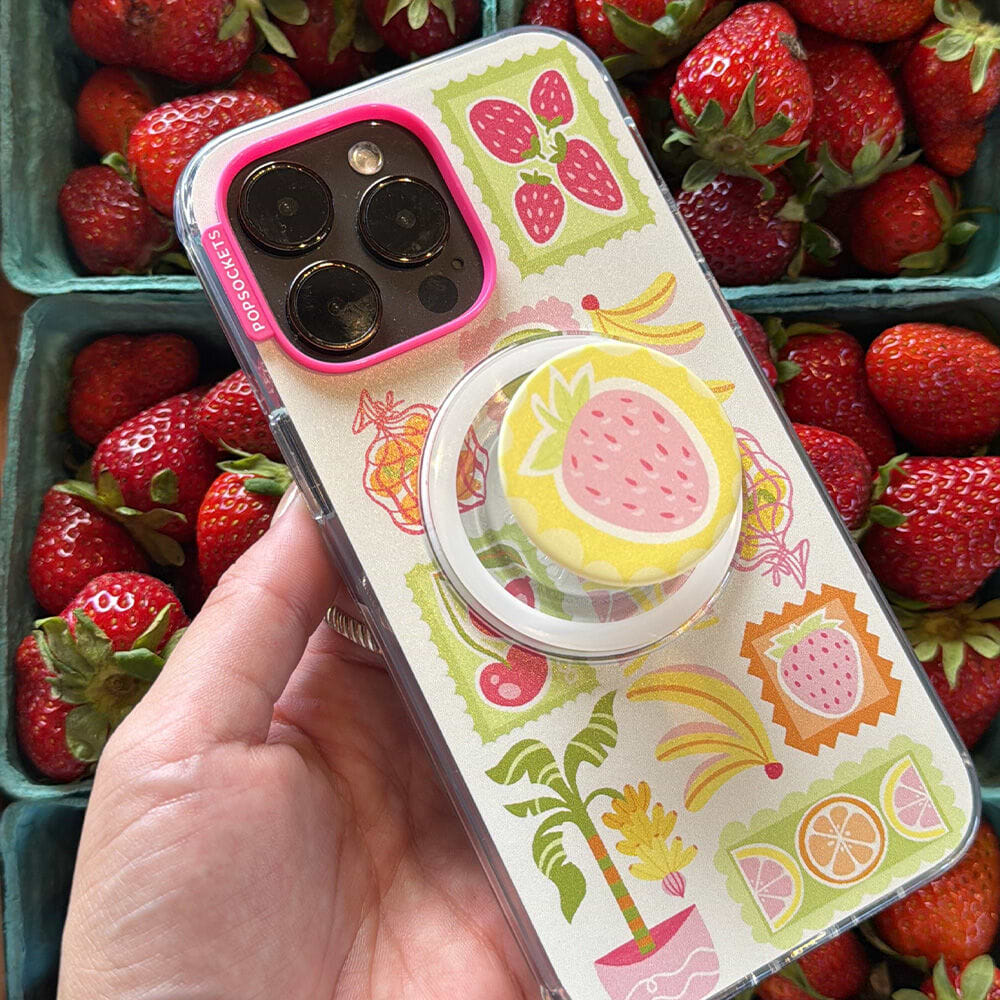 Farmer's Market — iPhone 16 Plus MagSafe Case - US 27591