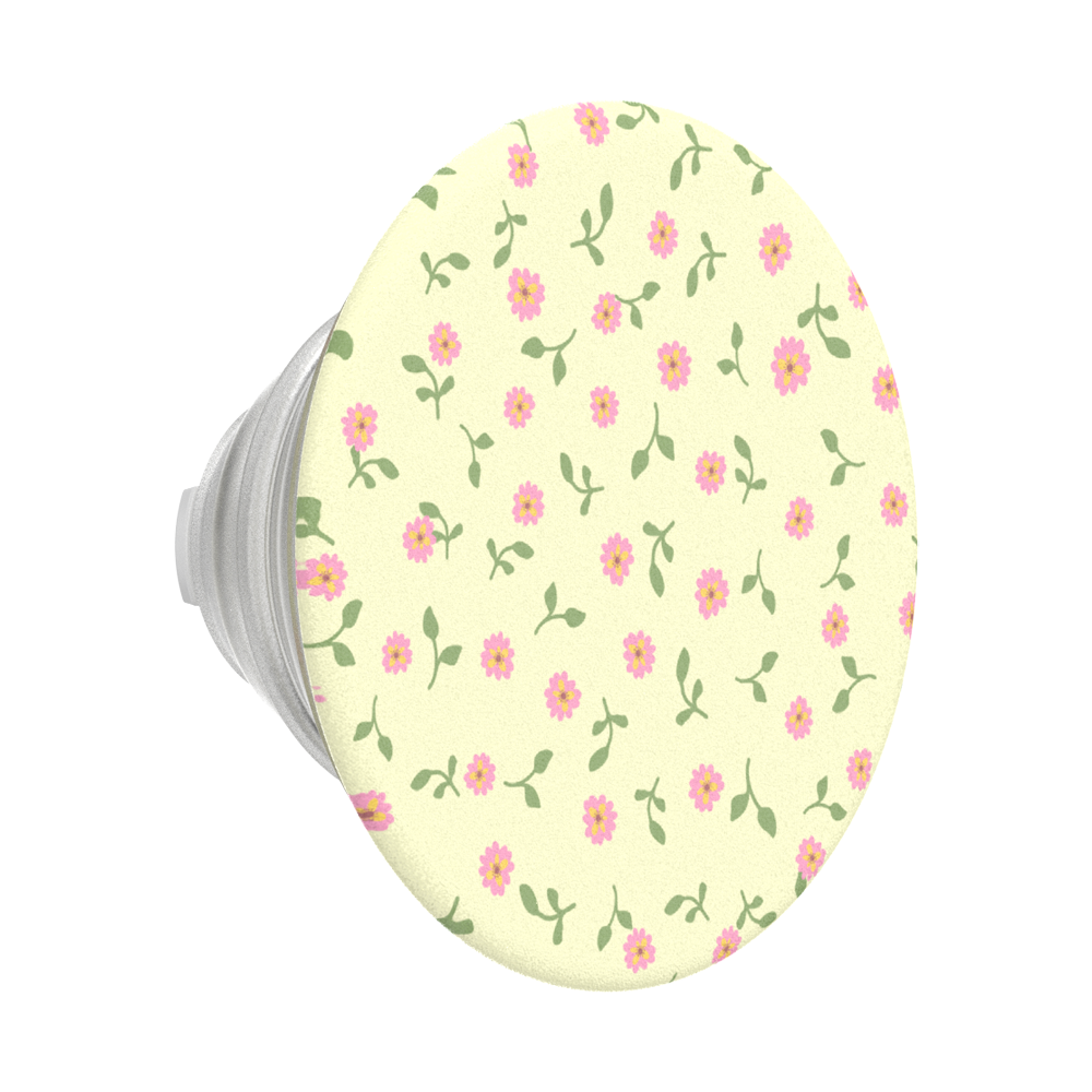 Dainty Prairie — MagSafe PopGrip - US 24628