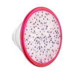 Dragonfruit — PopTop - US 10300