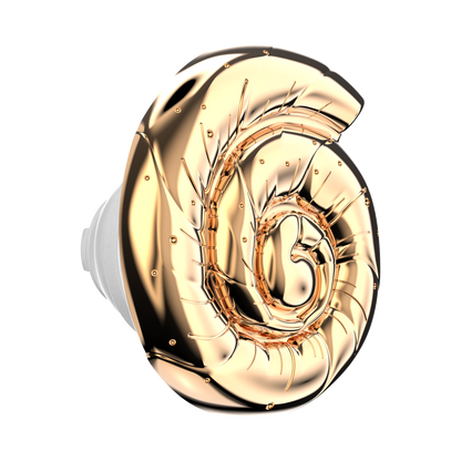 Enamel Nautilus Shell — PopTop - US 02115
