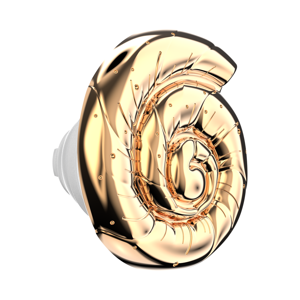 Enamel Nautilus Shell — PopTop - US 44795