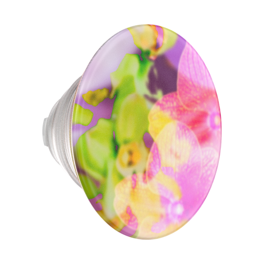 Collage Fleur — PopTop - US 32580