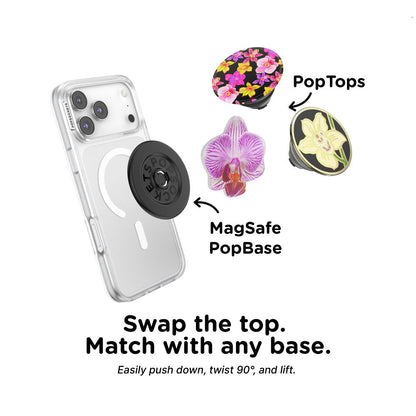Lilio — PopTop - US 02588