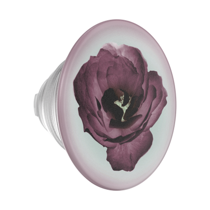 Mauve Reverie — PopTop - US 89826