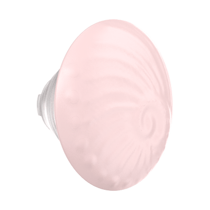 PopOut Fossil — PopTop - US 56873
