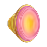 Jelly Sunni B — PopTop - US 14829