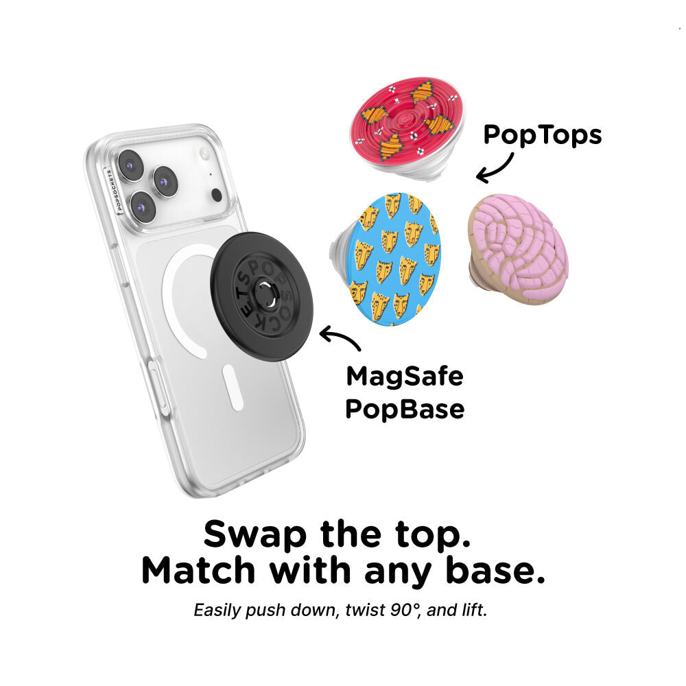Hey Cheetah — PopTop - US 12225