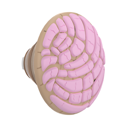 PopOut Concha — PopTop - US 90189