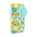 Lemon Squeezy — MagSafe PowerPack - US 20122