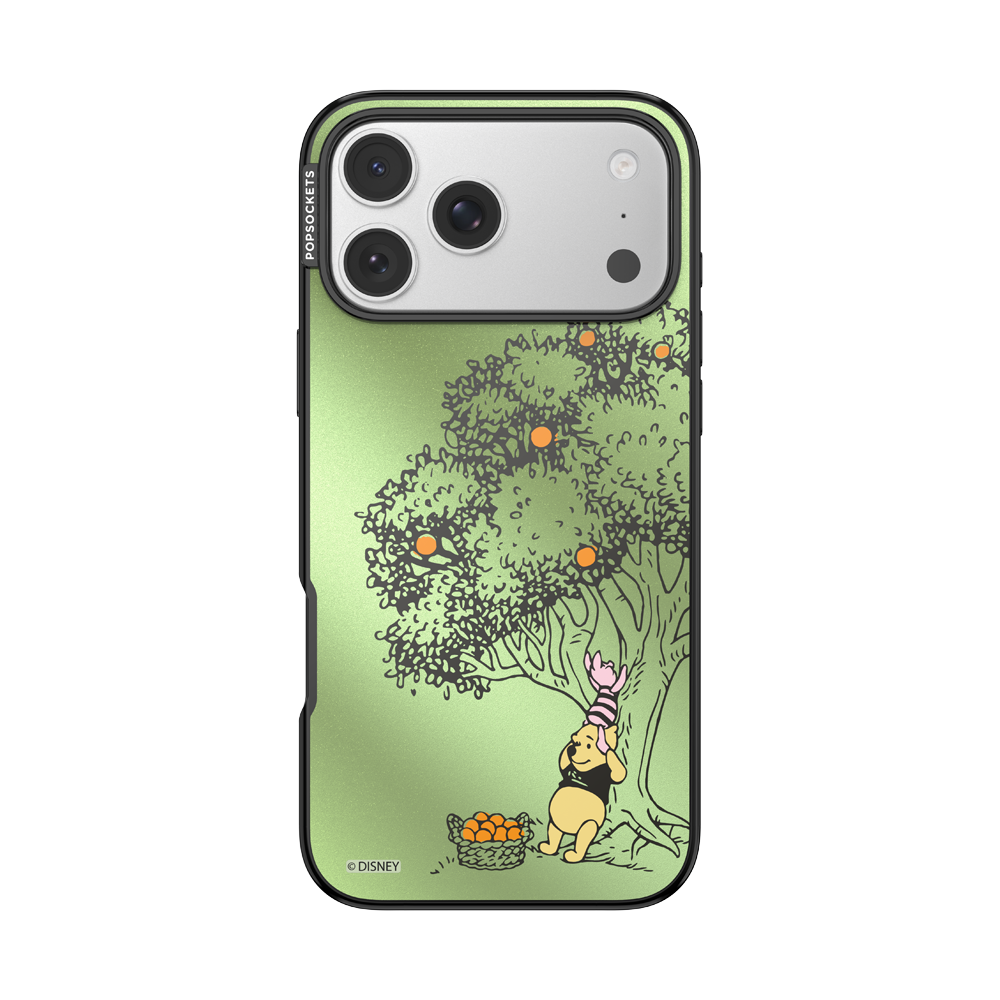100 Acre Wood — iPhone 17 Pro Max MagSafe Case - US 48238