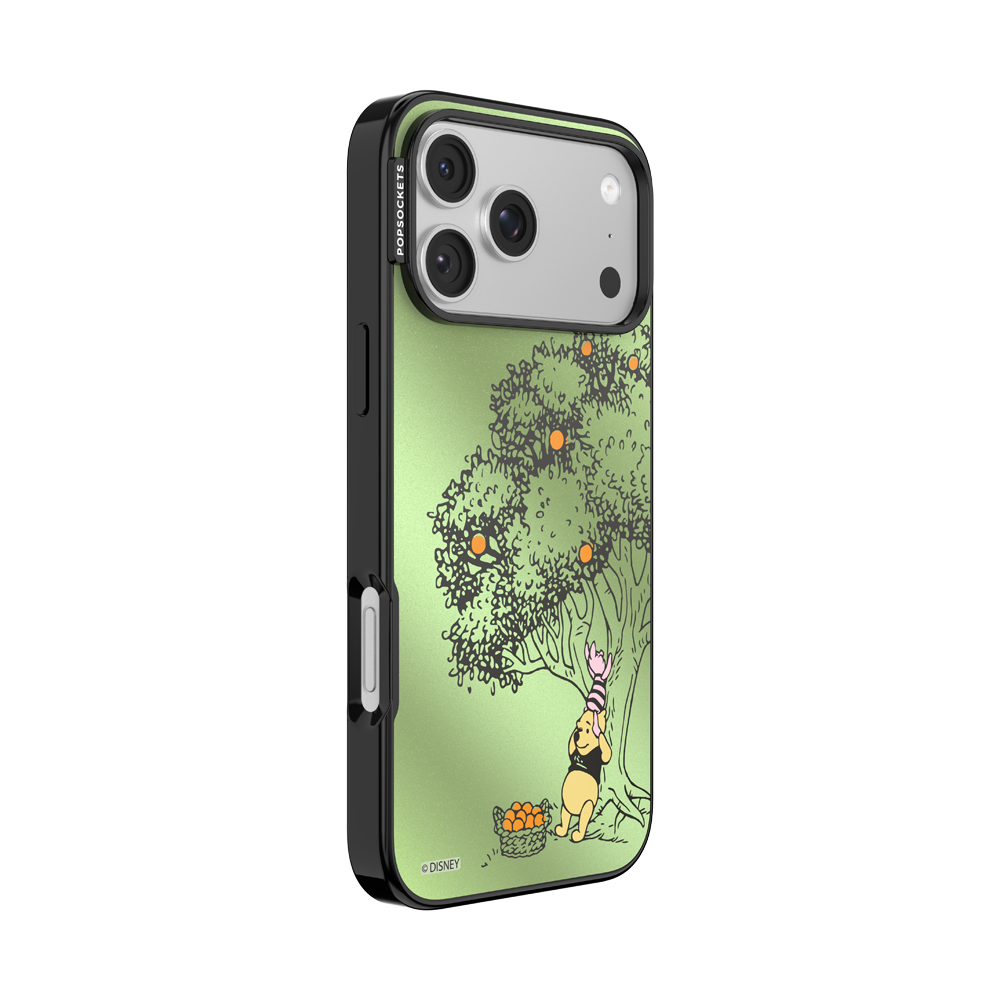 100 Acre Wood — iPhone 17 Pro Max MagSafe Case - US 81503