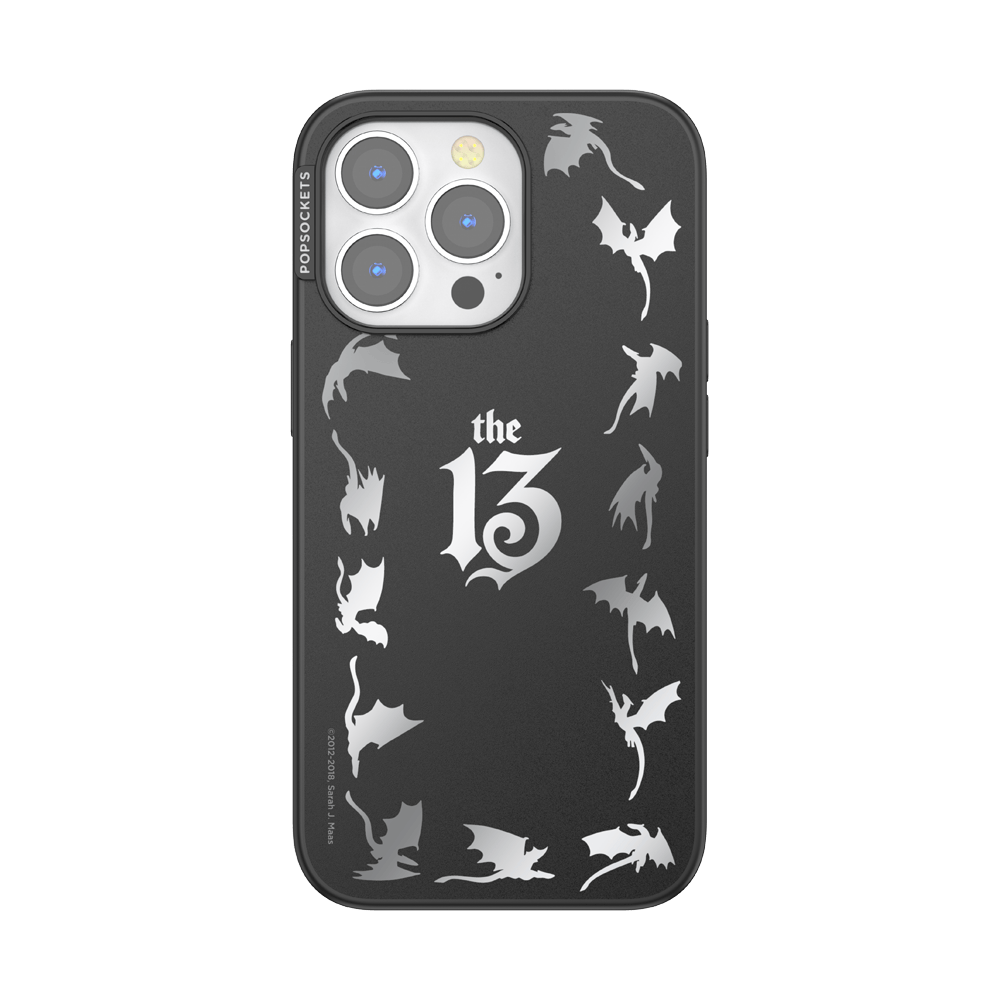 Mirror The 13 — iPhone 13 Pro MagSafe Case - US 71440