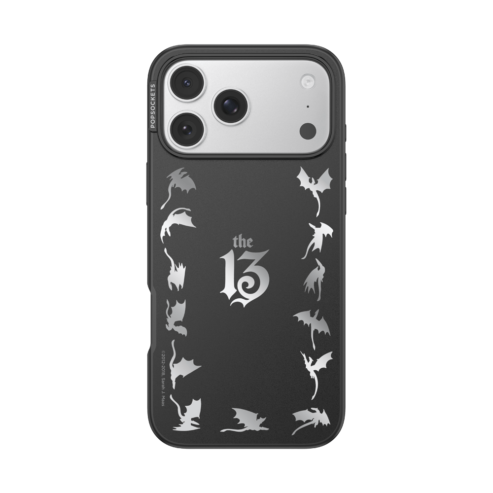 Mirror The 13 — iPhone 17 Pro Max MagSafe Case - US 18512