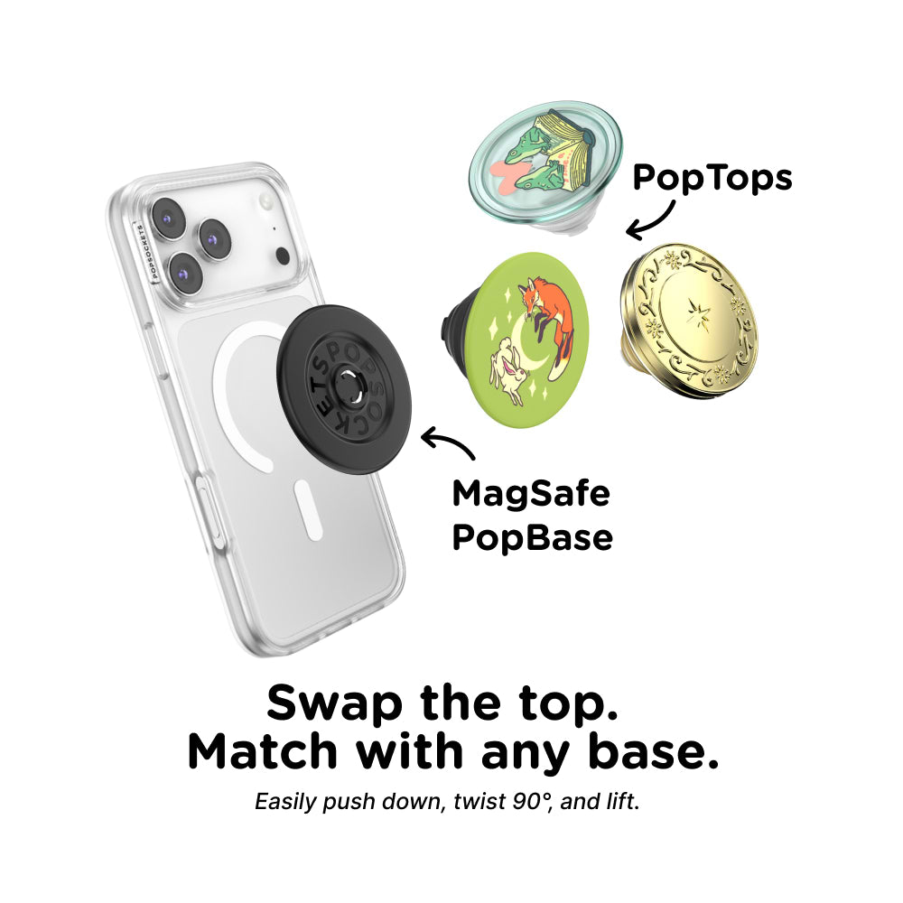 The Fox and The Hare —  PopTop - US 79849