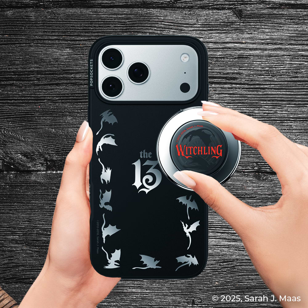 Mirror The 13 — iPhone 14 MagSafe Case - US 99810
